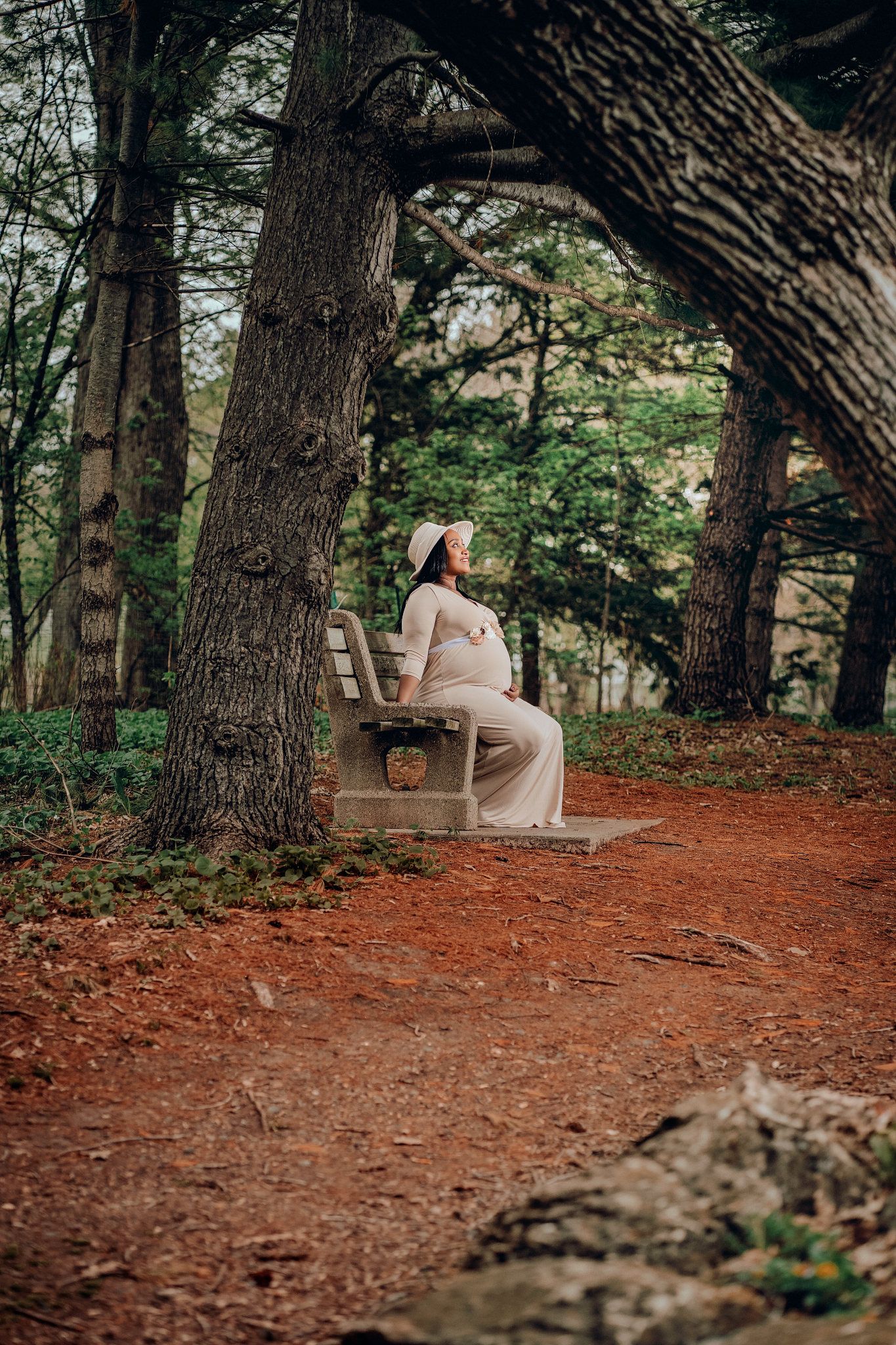 Maternity portrait session in Minnesota, image 4